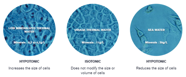 minerals-in-thermal-water