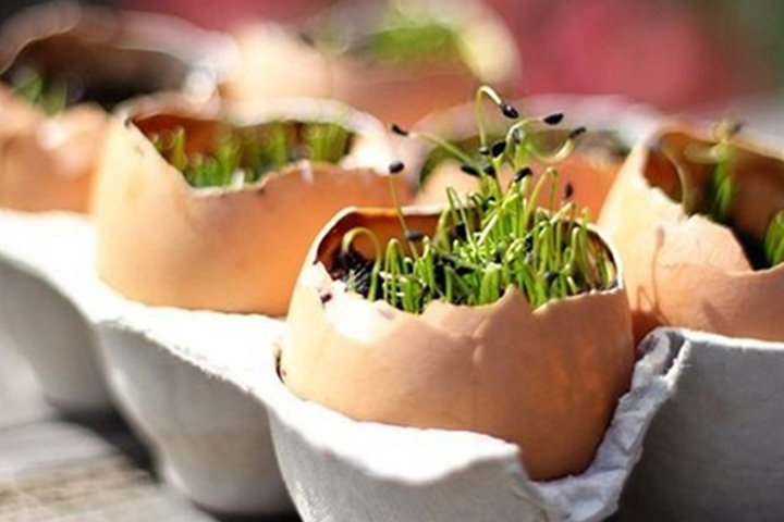 Un mini jardin pour Pâques