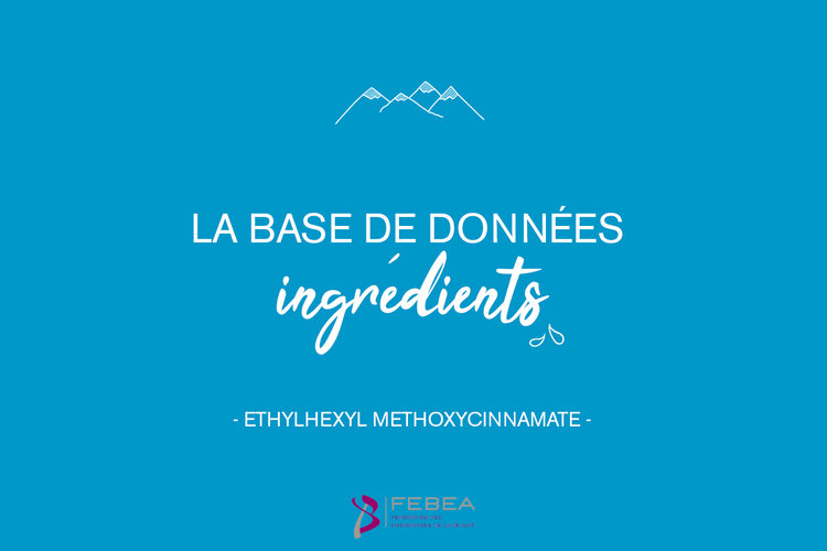 LA BASE DE DONNÉES INGRÉDIENTS - ETHYLHEXYL METHOXYCINNAMATE
