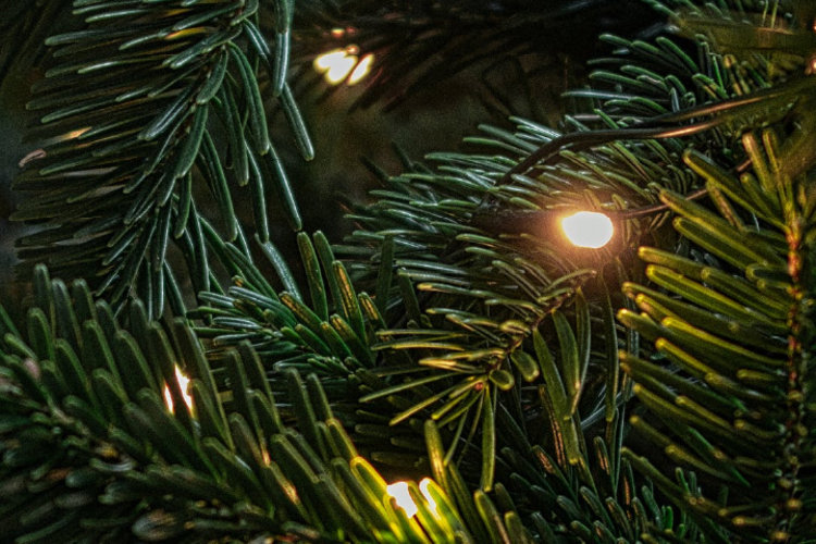 Cuidados para la piel después de las fiestas  